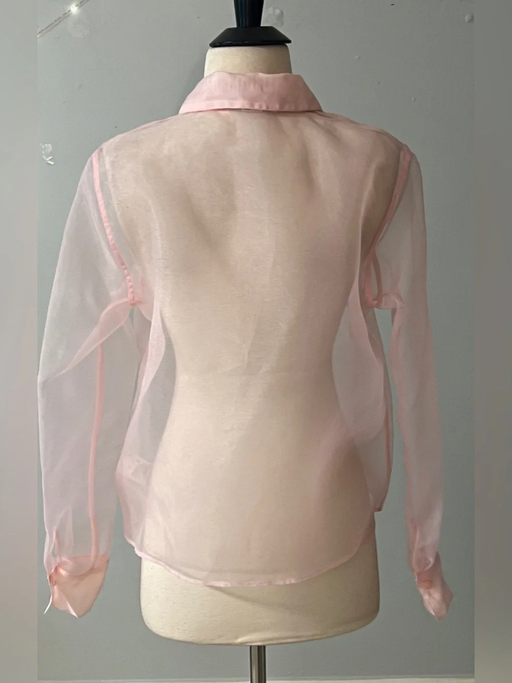 Rachel Zoe Sheer Pink Organza Button Front Blouse Size Small - Picture 4 of 10